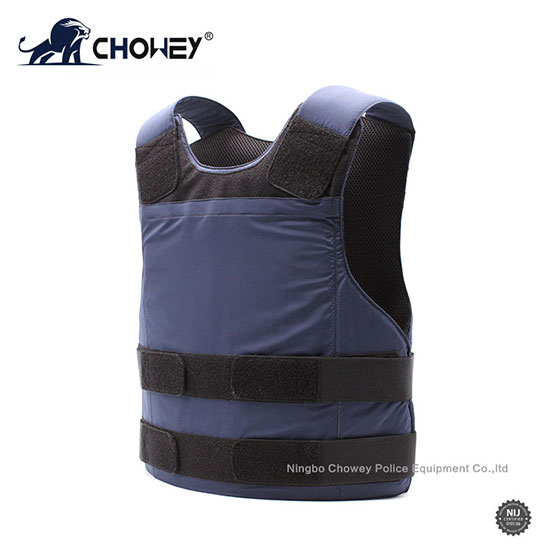 Concealable Soft Body Armor