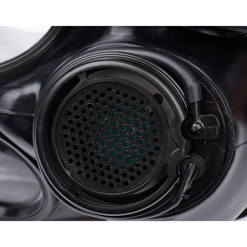 Gas mask, double-view gas mask