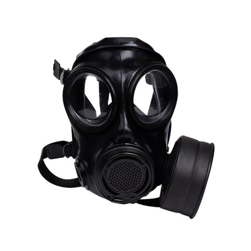 Gas mask, double-view gas mask