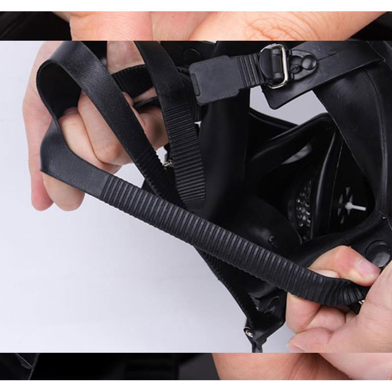Gas mask, double-view gas mask